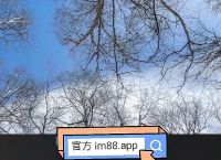 im钱包新版下载,im钱包app下载安装