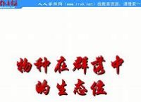 tokenpocket官网,tokenpocket官网下载tp钱包