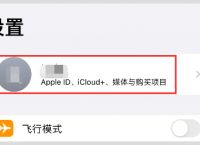 skype有没有苹果版,skype download for iphone