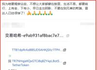 token钱包官网下载,token pocket钱包下载