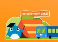 insgream官方网下载国际版,insgream官方网中文版app