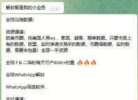 whatsapp在中国,whatsapp在中国能用吗安卓手机可以用吗