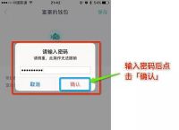 token钱包怎么导入,tokenpocket如何导入钱包