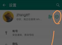 whatsapp和微信哪个好,whatsapp与whatsapp messenger
