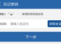 关于tpwallet密码忘记了怎么办的信息