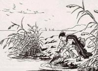 借梯子的寓意讲了一个什么道理,借梯子的寓意讲了一个什么道理呢