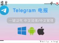 telegeram中文怎么设置,telegreat手机中文怎么设置