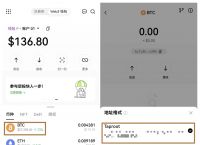 交易所买的币怎么转到钱包,交易所买的币怎么放在钱包里