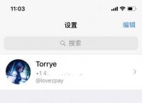 teleram怎么变中文,telegeram转换中文