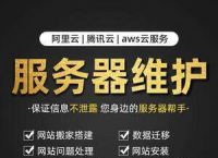国外服务器代理ip,国外服务器代理ip和端口