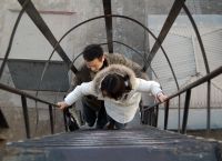 上望梯子图片,上望梯子在家烧还是在外烧