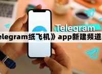纸飞机下载的文件在哪,纸飞机下载的文件在哪个位置