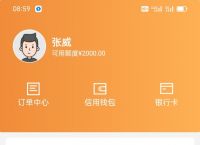大麦钱包属于什么公司,大麦钱包是合法的app吗