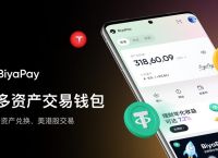 usdt钱包下载官网,usdt钱包下载手机版