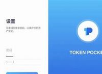 tokenpocket钱包,国际抖音tiktok官网入口