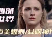 西部世界梯子网址,西部世界加速器官网