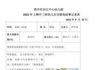 安吉梯子观察记录,安吉梯子游戏观察记录