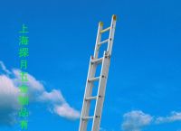 免费梯子有哪些能用,免费梯子app有哪些