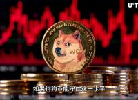关于狗狗币价格今日行情人民币的信息