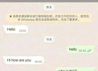 飞机加密聊天软件下载,飞机加密聊天软件下载免费