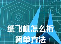 纸飞机的折叠方法视频,纸飞机的折叠方法视频教程