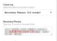 虚拟币怎么玩教程视频,虚拟币怎么玩教程视频下载