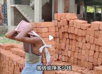 搬砖项目资源网,搬砖项目资源网介绍