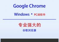 谷歌浏览器网页入口在线打开网站,谷歌浏览器网页入口在线打开网站怎么设置