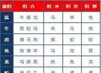 三四四二是什么生肖,三三四四领头功是什么生肖
