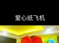 回旋纸飞机怎么折到车请故意,回旋纸飞机怎么叠叠的那个回旋纸飞机是到车请故意折的