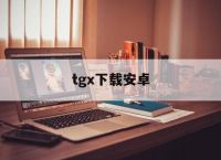 tgx下载安卓,TGX下载安卓可接收验证码
