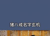 今期六字出玄机缠大猪,今期六字出玄机,三条蛇仔缠大猪