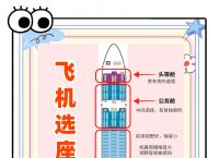 飞机怎么调成中文版,飞机怎么设置中文语言