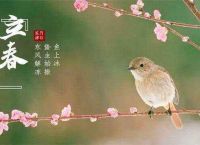 立春开过什么生肖的花,立春开过什么生肖的花呢
