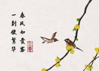 立春打一正确最准一肖,十二生肖立春是什么动物