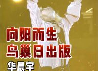 人民日报点评华晨宇向阳而生,人民日报点评华晨宇向阳而生歌词