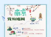 玄武湖梅花开放时间,玄武湖梅花什么时候开