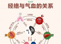 经络不通补气血能补上来吗,经络不通补气血能补上来吗女性
