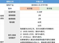中国人寿保单查询入口学生,中国人寿保险学生投保怎么查询