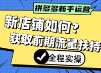 拼多多突然没流量了怎么办,拼多多为什么突然没有流量了