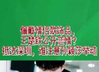 林铭钊结婚了吗,林铭钊乒乓球运动员简历