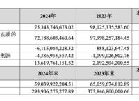 金地集团2024年净利润亏损61亿，顺利渡过偿债高峰|界面新闻 · 地产
