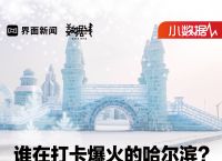小数据 | 谁在打卡爆火的哈尔滨？|界面新闻