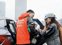 滴滴快送宠物专送：为宠物商家节省成本 扩大服务范围|界面新闻