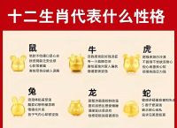 今天属什么12生肖,今天属于十二生肖的什么