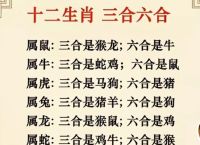 今期生肖出在火正确答案,今期生肖最出名是什么生肖?