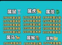 今期生肖开金花大疆无帅,今期生肖开金花开过什么生肖