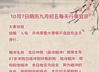 今期什么生肖冲什么生肖