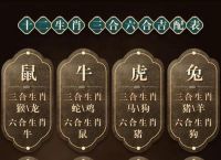 来三中一今期开打一准确生肖