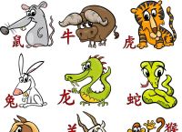 今期生肖不用找什么意思